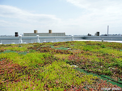 屋上緑化｜ザ・パークハウス戸越公園タワー